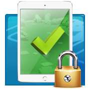 Security and Verification