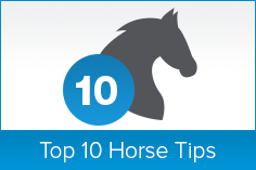 Top 10 Horse Tips