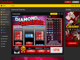 Bodog Slots Golden Gorilla